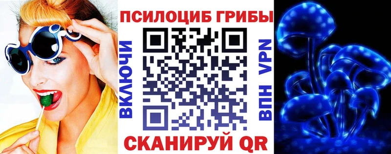 Галлюциногенные грибы MAGIC MUSHROOMS  Купить закладки  Липецк 